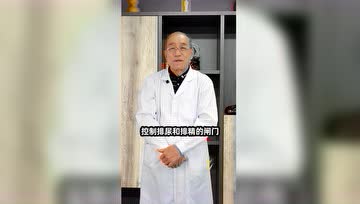 患前列腺炎为什么会出现头晕乏力的症状？